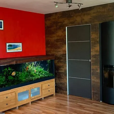 Avec Piscine, Billard, Sauna & Jacuzzi