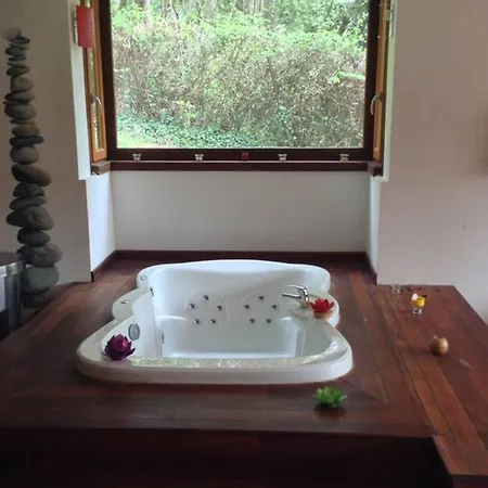 Avec Piscine, Billard, Sauna & Jacuzzi * Saint Ismier